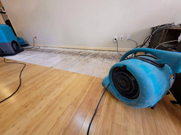 Professional Ceiling Water Damage Repair technician working in Boulder Creek, CA